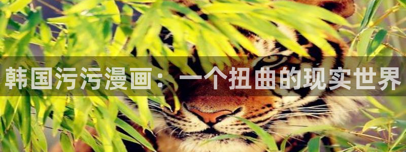 香蕉文化漫画书的下拉式：韩国污污漫画：一个扭曲的现实世界