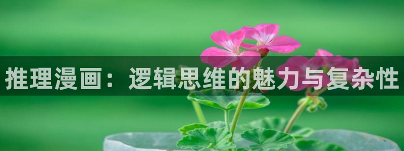 香蕉文化漫画书阅读下拉式：推理漫画：逻辑思维的魅力与复杂性